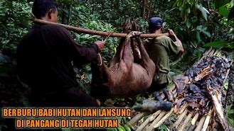 Beruang Menyerang Orang Berburu Babi Hutan Di Dunia